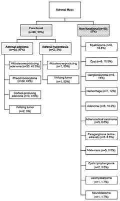 A Descriptive Comparative Analysis of the Surgical Management of Adrenal Tumors: The Open, Robotic, and Laparoscopic Approaches